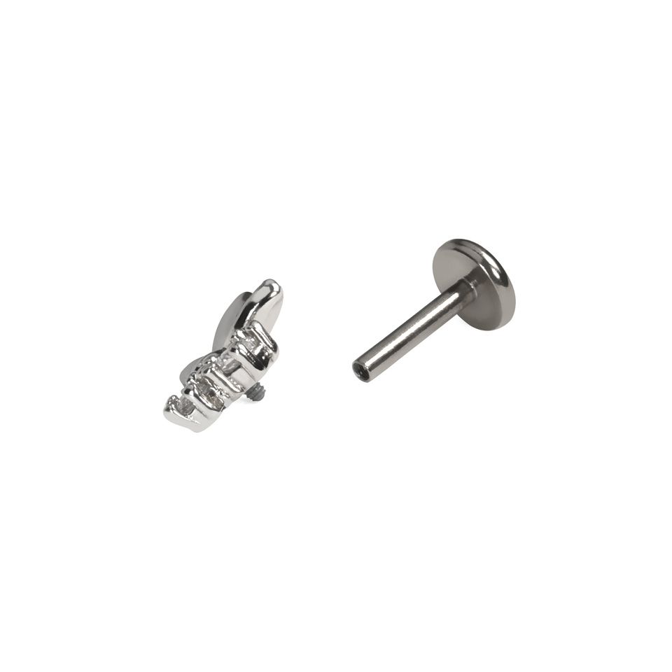 Sommerfugllabret med stener
