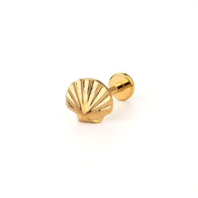 Skjell-labret i titan