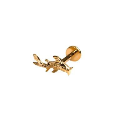 Koifisklabret i titan