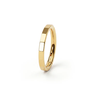 Elegant fasettert ring i titan