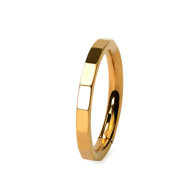 Elegant fasettert ring i titan