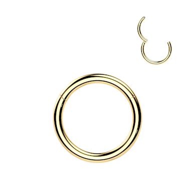 24k forgylt hengselring i titan