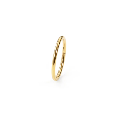 24k forgylt hengselring i titan