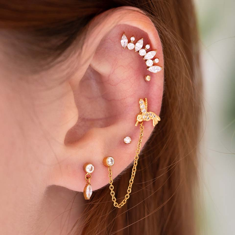 Kolibri-labret med stener