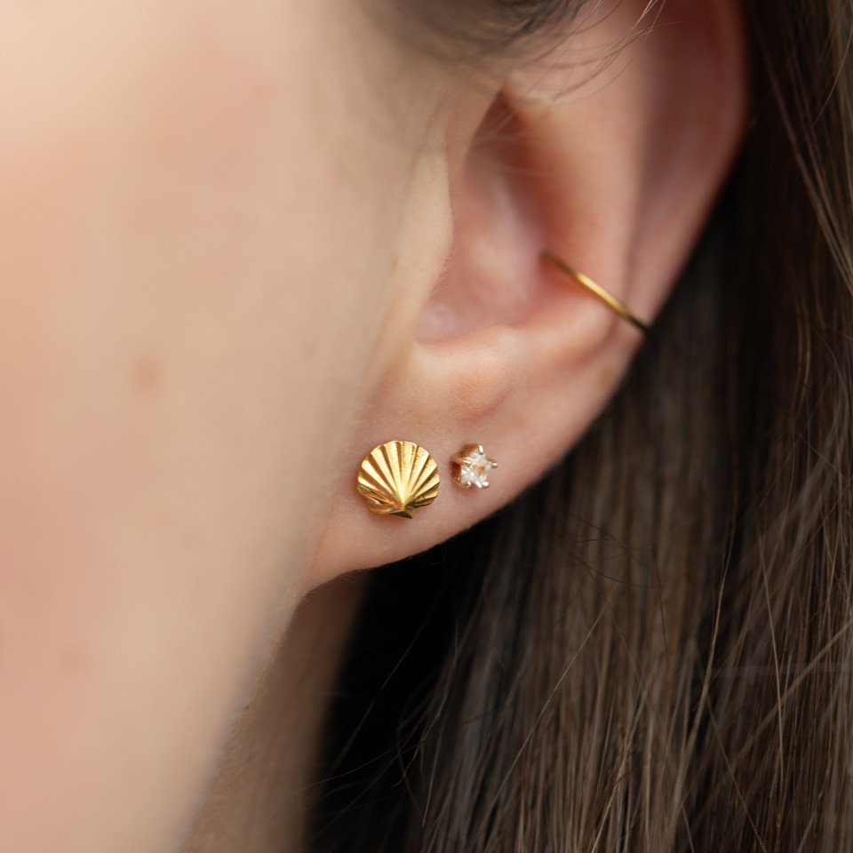 Skjell-labret i titan