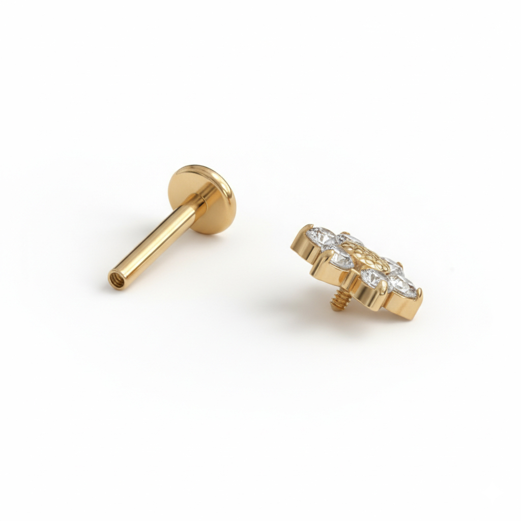 Labret i titan med prestekrageblomst