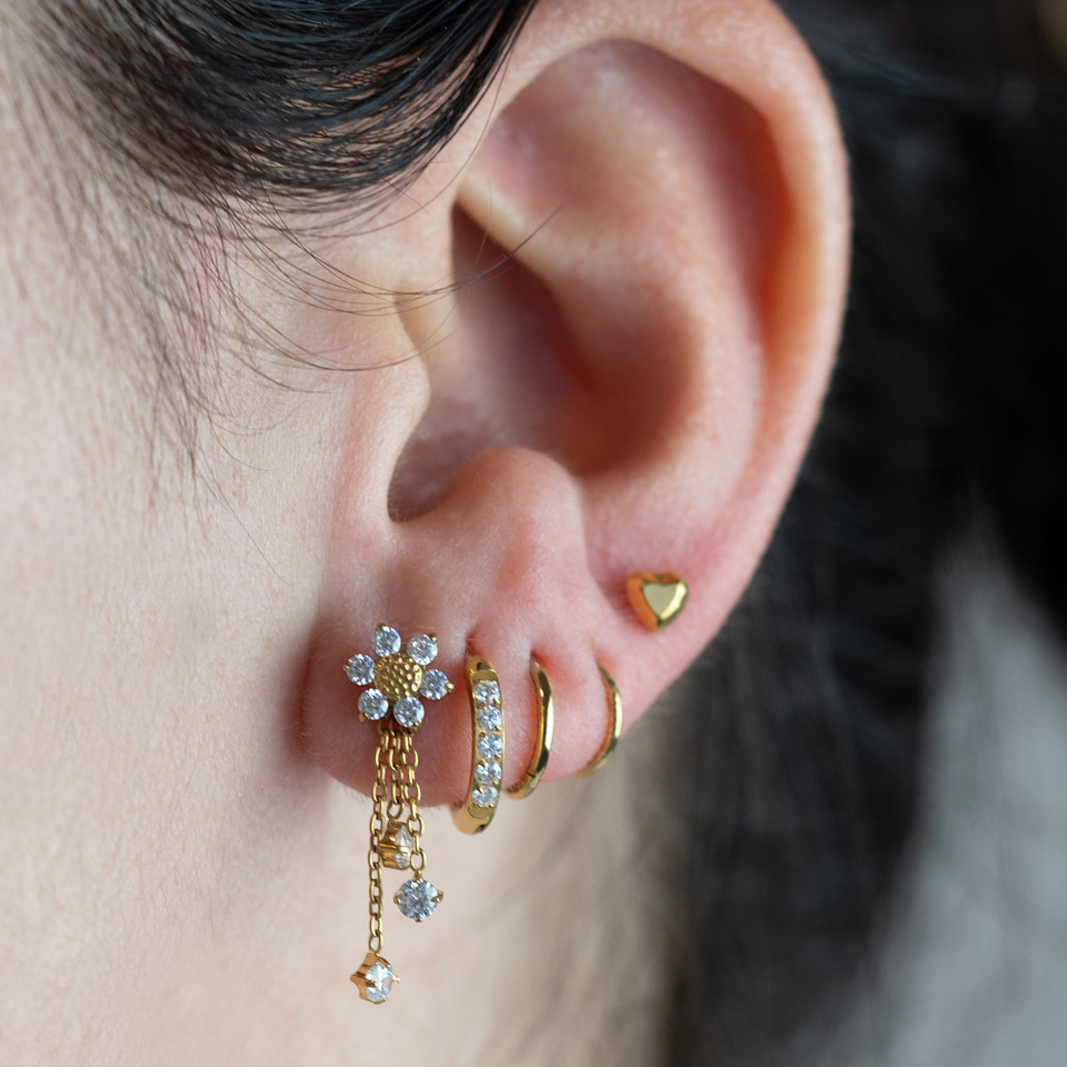 Labret i titan med prestekrageblomst